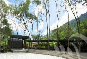 台北大板根森林温泉度假村第 2 张图片