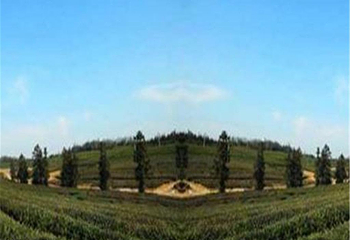 名仕馆第 4 张图片