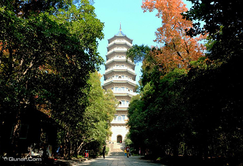 灵谷景区第 4 张图片