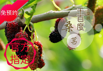 烟台千百度采摘园第 1 张图片