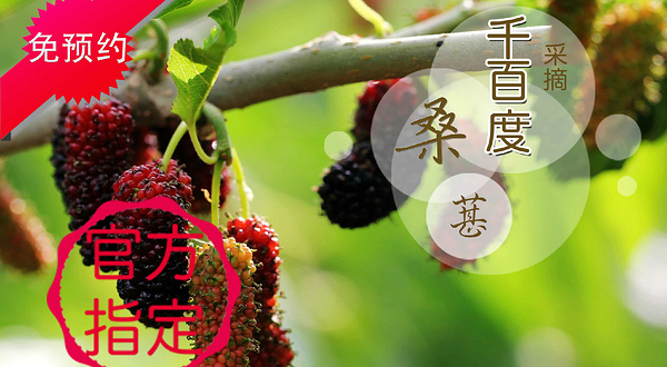 烟台千百度采摘园