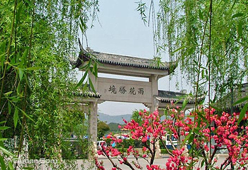 雨花胜境第 16 张图片