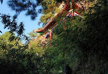 妙道山第 3 张图片