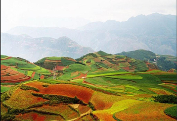 东川红土地第 2 张图片