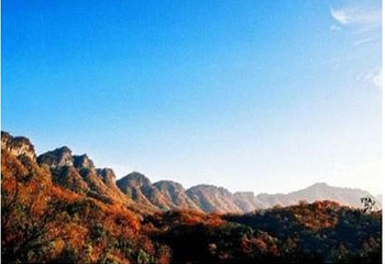 光雾山桃园第 3 张图片