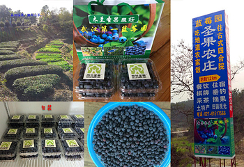 木兰天池圣果农庄第 2 张图片