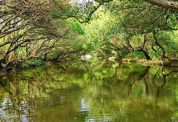 四草湿地保护区第 5 张图片