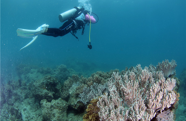 包含景点: 亚龙湾 亚龙湾远海潜水 太阳湾海洋运动 去哪儿价 &yen