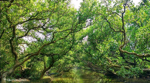 四草湿地保护区