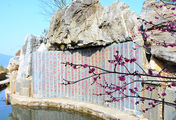守拙园第 30 张图片