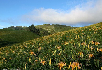 六十石山风景区第 12 张图片