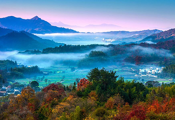 塔川第 72 张图片
