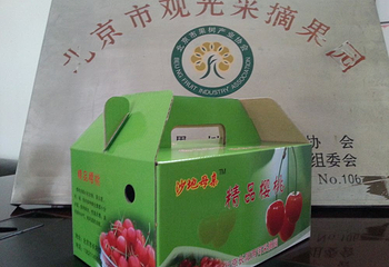 长阳两河樱桃园第 3 张图片