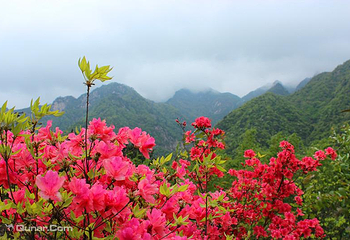 明堂山风景区第 12 张图片