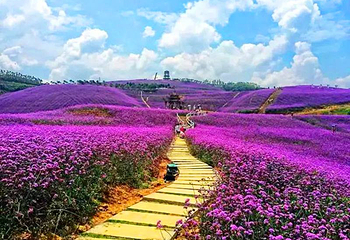 新蒲-漫花谷第 1 张图片