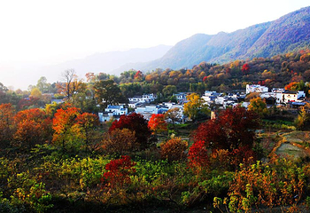 塔川第 58 张图片