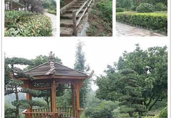 彭山景区第 5 张图片