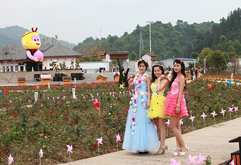 贺州黄姚仙女湖花海第 41 张图片