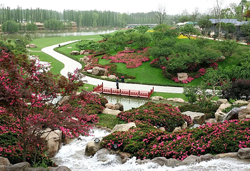 三圣花乡旅游区第 6 张图片