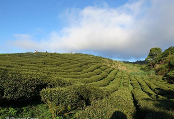 六十石山风景区第 10 张图片