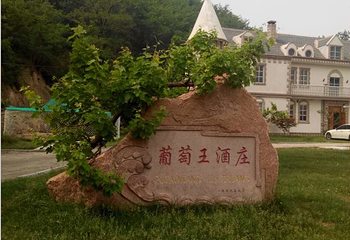 华泰葡萄王酒庄第 11 张图片