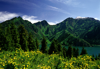 天山天池第 44 张图片