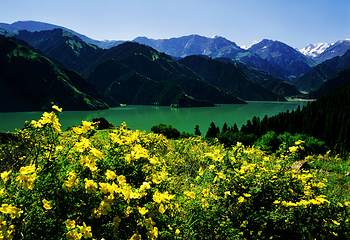 天山天池第 46 张图片