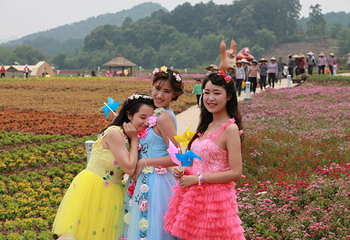 贺州黄姚仙女湖花海第 33 张图片