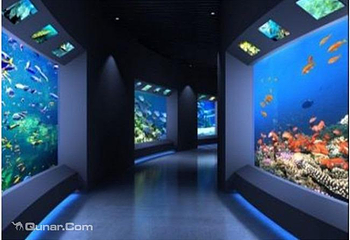 石家庄海洋公园(海悦天地购物广场店)第 8 张图片