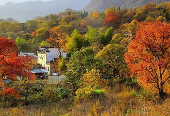塔川第 68 张图片