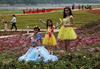 贺州黄姚仙女湖花海第 32 张图片