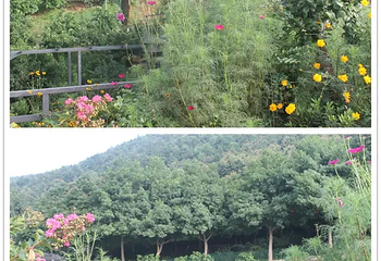 彭山景区第 7 张图片