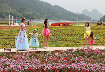 贺州黄姚仙女湖花海第 39 张图片