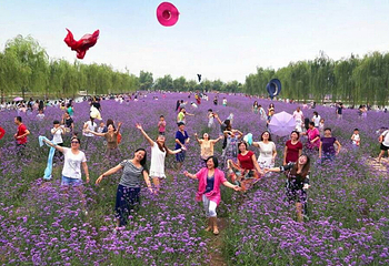 醉美西湖观光游乐园第 5 张图片