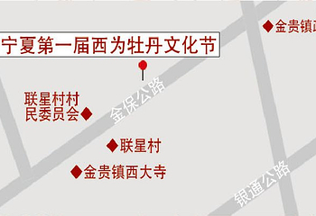 金贵牡丹花乡第 11 张图片