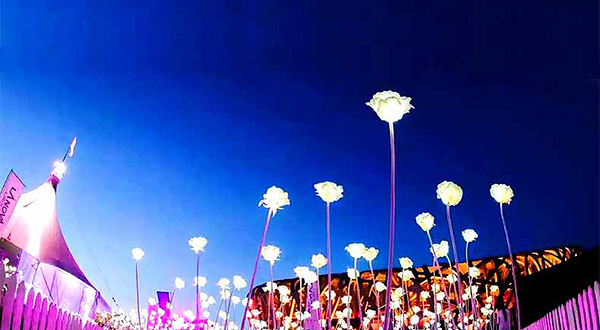 国际星河玫瑰艺术展