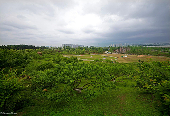 三圣花乡旅游区第 14 张图片