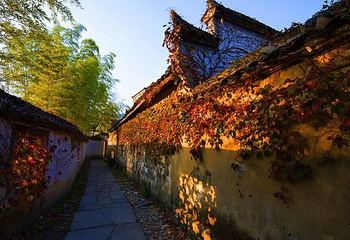 塔川第 61 张图片