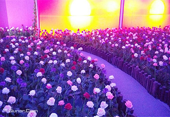 梦幻星空错觉艺术馆第 7 张图片