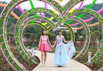 贺州黄姚仙女湖花海第 47 张图片