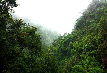 龙穿峡景区第 31 张图片