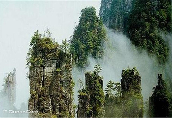 银杉公园第 7 张图片