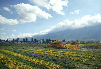 花海庄园第 7 张图片