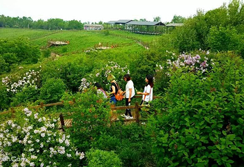 野三坡百草畔景区第 8 张图片