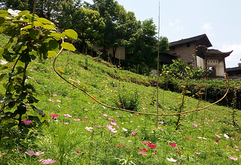 大水井古建筑群第 2 张图片