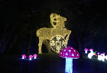 徽园灯展第 18 张图片