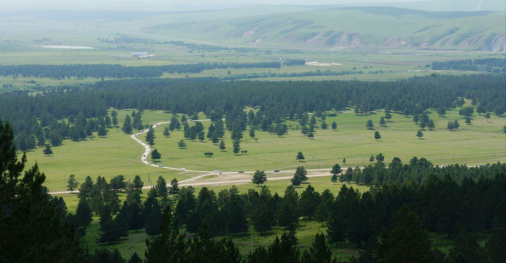红花尔基樟子松国家森林公园成人票