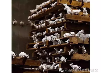 依诺莎魔幻迷宫穿越馆第 11 张图片