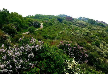 野三坡百草畔景区第 10 张图片