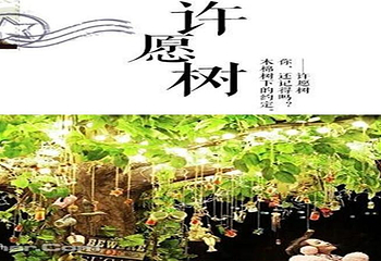 北京星空错觉艺术馆第 7 张图片